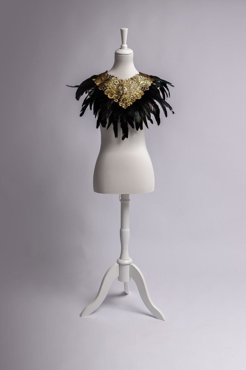 Studio photo avec dressing ambérieu en bugey