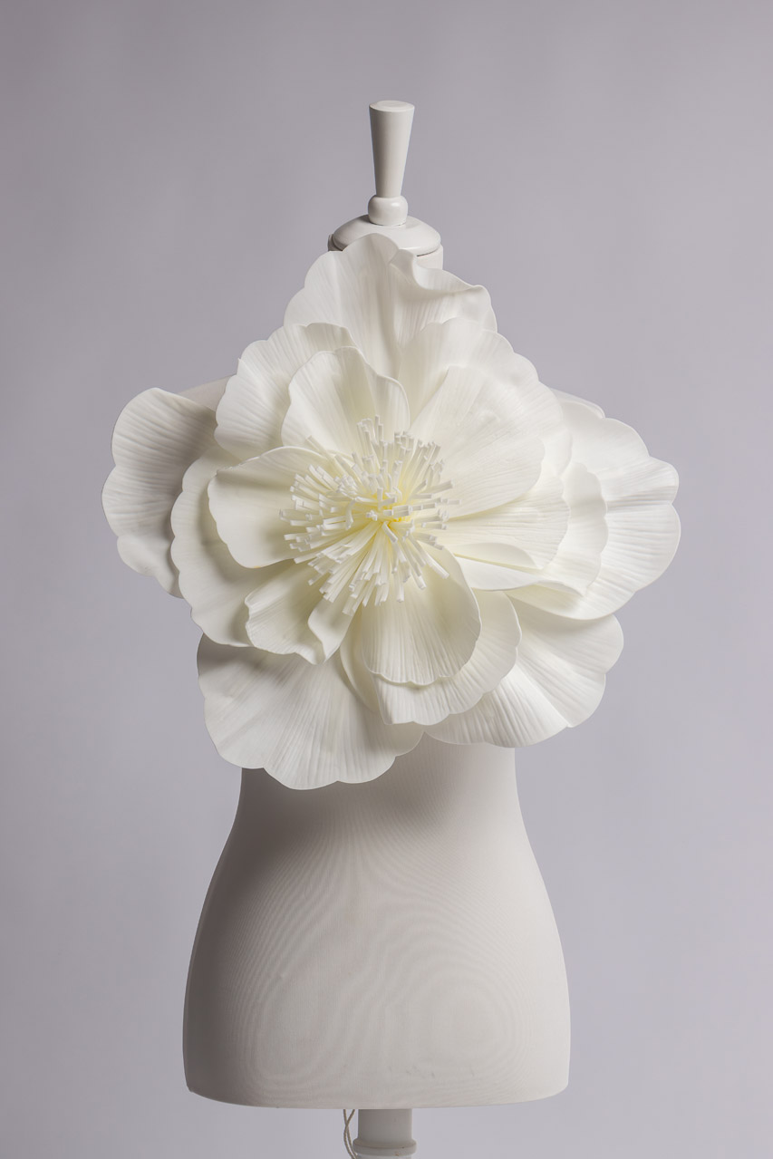 Studio photo avec dressing