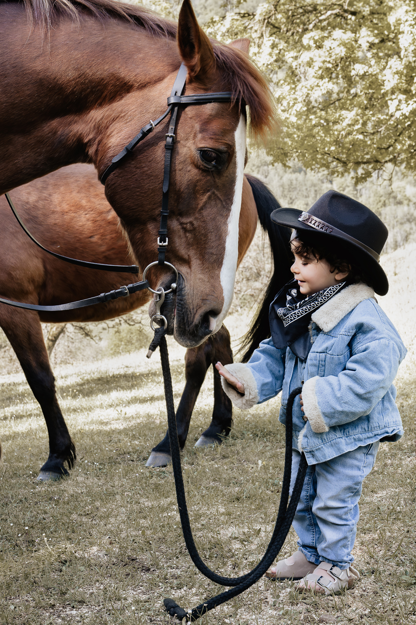 mini séances cowboy