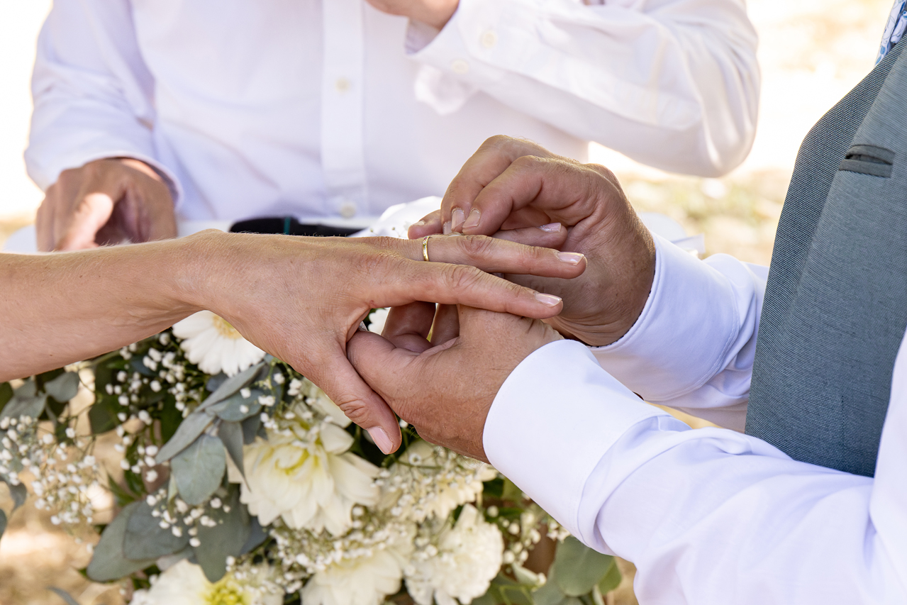 MARIAGE PHOTOGRAPHE PROFESSIONNEL meximieux