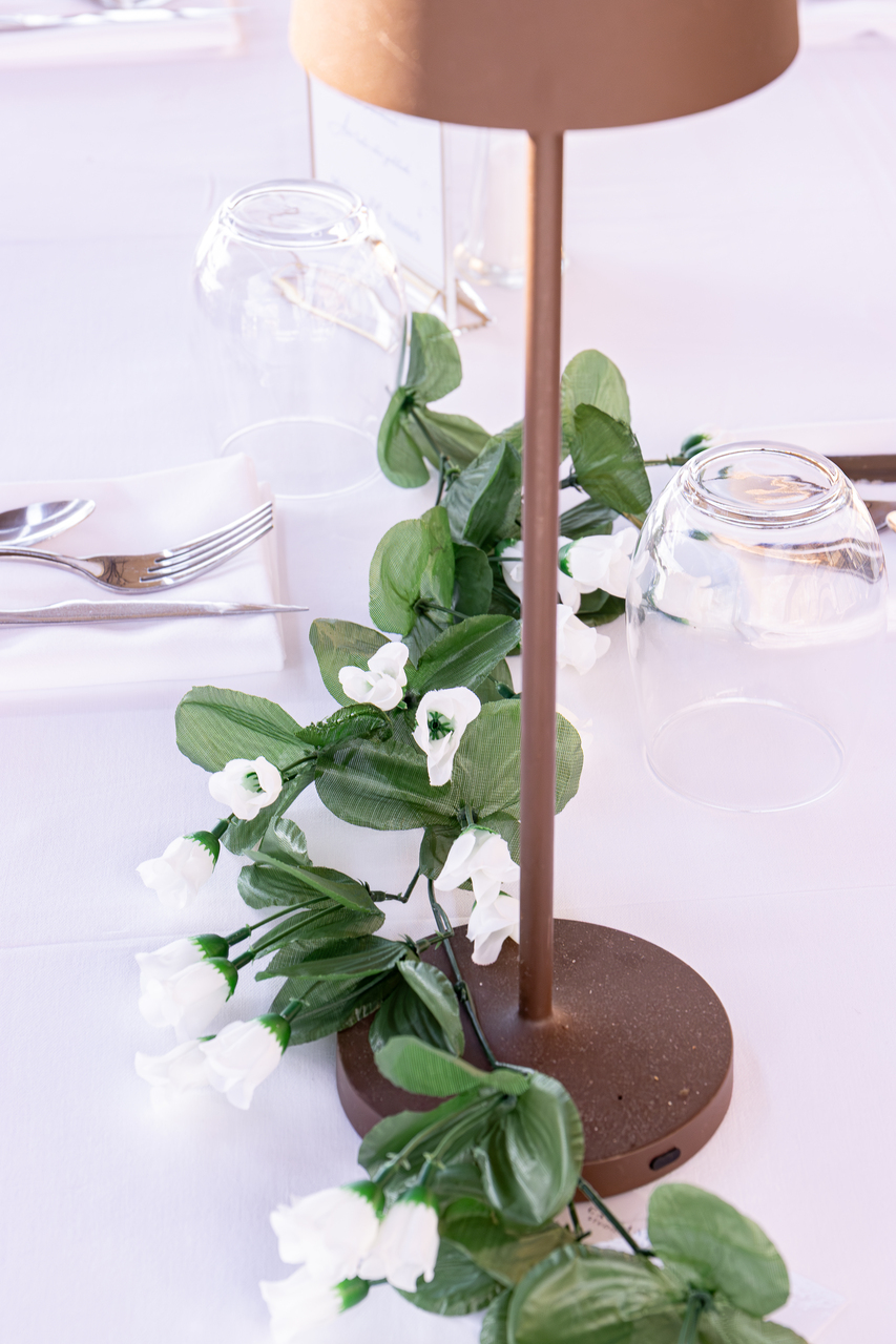 photographe mariage lagnieu